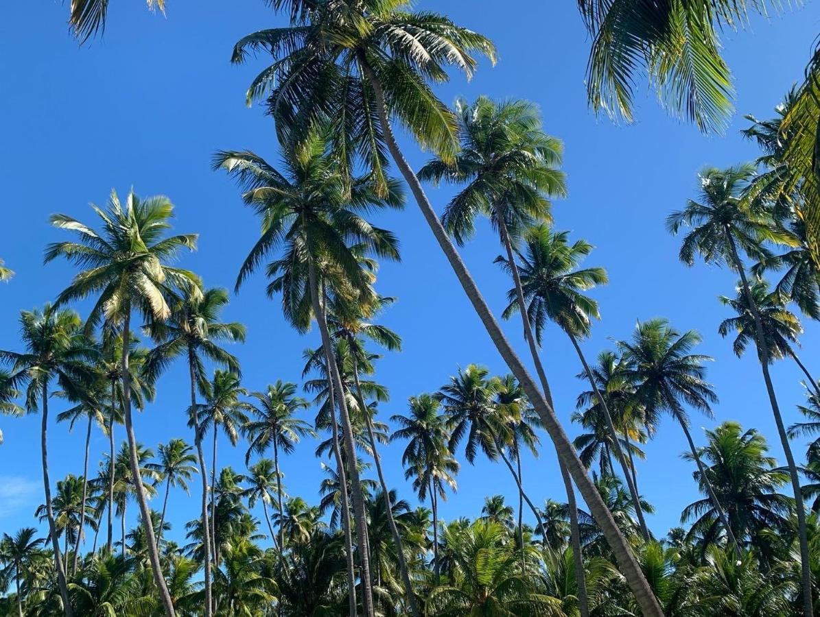 Flat 118 Eco Resort Praia Dos Carneiros Tamandaré Kültér fotó